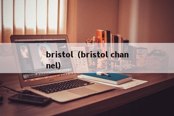 bristol（bristol channel）