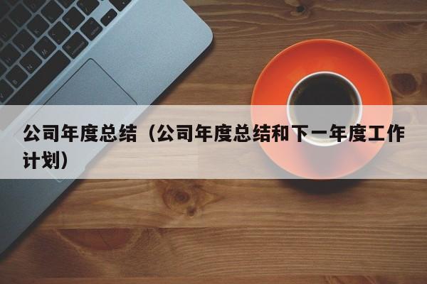 公司年度总结（公司年度总结和下一年度工作计划）