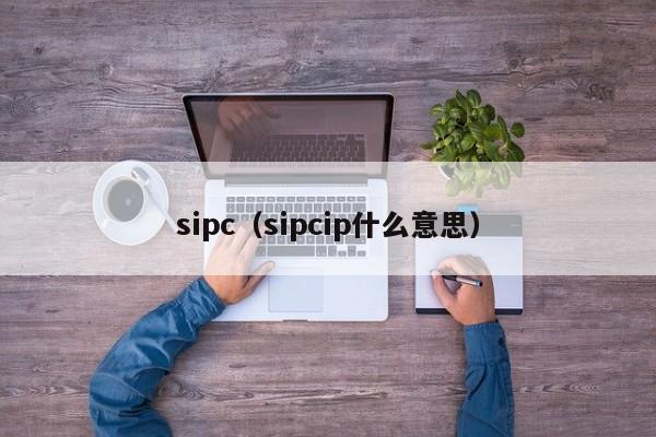 sipc（sipcip什么意思）