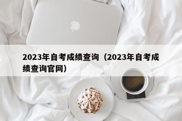 2023年自考成绩查询（2023年自考成绩查询官网）