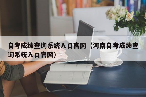 自考成绩查询系统入口官网（河南自考成绩查询系统入口官网）